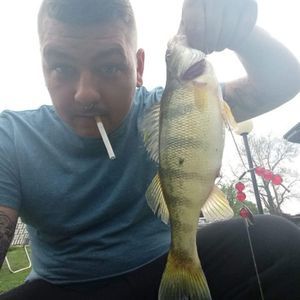 Meet your Posher, Brent